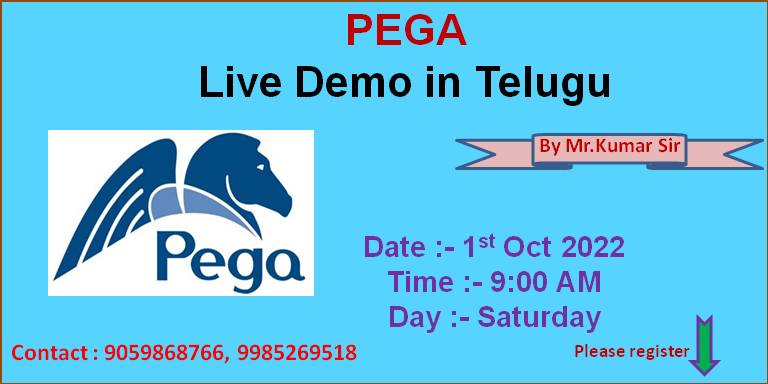 Pega-Demo online in Telugu